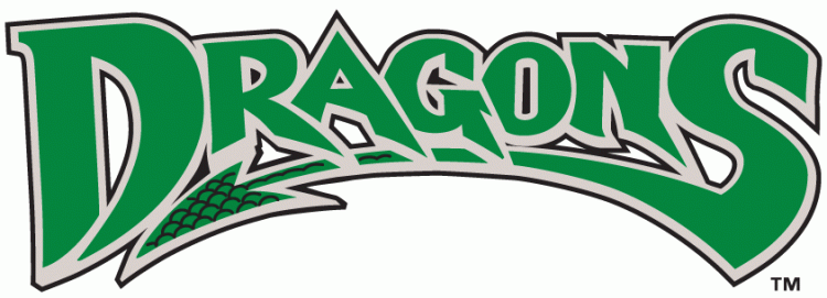 Dayton Dragons 2000-pres wordmark logo iron on transfers for clothing